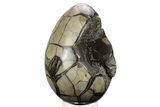 Septarian Dragon Egg Geode - Black Crystals #241118-1